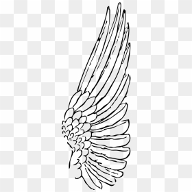 Drawing Angel Wings Side, HD Png Download - angel wing png
