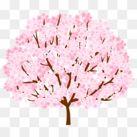 Cherry Blossom, HD Png Download - cherry blossom petals png