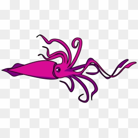 Squid Images Download Png Clipart - Squid Clipart, Transparent Png - squid png