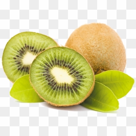 Kiwi Png Download - Kiwi Fruit Png, Transparent Png - kiwi png