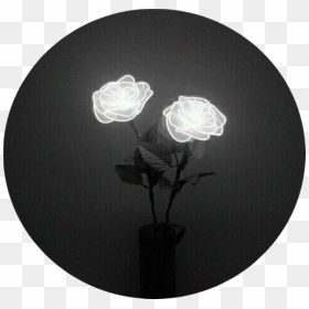 Transparent Tumblr Rose Png - Aesthetic Black Neon Lights, Png Download - white roses png