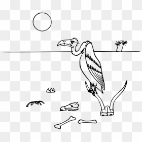 Vulture In Desert Vector Illustration - Black And White Desert Animal Clipart, HD Png Download - desert png
