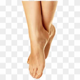 Akupunktur Lr 3, HD Png Download - feet png