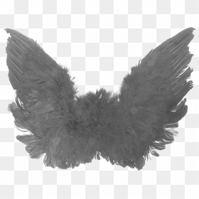 Black Angel Wings Png High-quality Image - Black Small Wings Png, Transparent Png - angel wing png