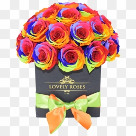 Deluxe Rainbow Black Box - Garden Roses, HD Png Download - black box png