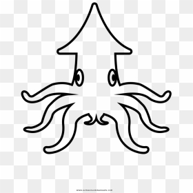 Squid Coloring Book Drawing - Drawing Giant Squid, HD Png Download - squid png