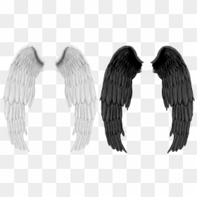 Black Wings - Petronas Towers, HD Png Download - angel wing png
