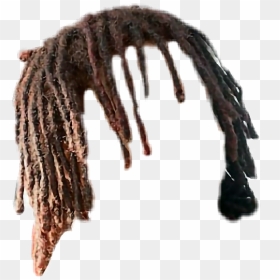 Collection Of Free Drawing Dreadlocks Trippy - Dreadlocks Transparent, HD Png Download - lil pump hair png