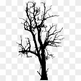 Dead Tree Silhouette Png, Transparent Png - spooky forest.png