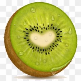 Kiwi Png Transparent Images - Kiwi Png Cartoon, Png Download - kiwi png