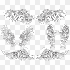 Angel Wing Bird Feather , Png Download - Realistic Angel Wings Drawing, Transparent Png - angel wing png
