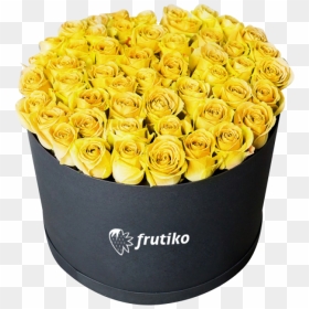 Yellow Roses Black Box - Theodore Roosevelt Park, HD Png Download - black box png