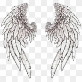 Wings Wing Angle بال Freetoedit - Realistic Angel Wings Drawing, HD Png Download - angel wing png