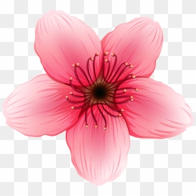 Flower Png Clipart Image - Pink Flower Illustration Png, Transparent Png - png flower