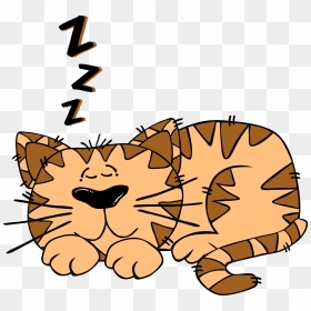 Thumb Image - Cat Sleeping Clipart, HD Png Download - sleeping png
