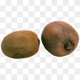 2 Kiwis Png, Transparent Png - kiwi png