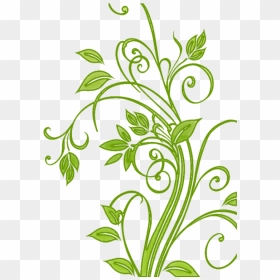 Floral, Flower, Leaf, Leafy, Leaves, Flower Vector - Floral Leaf Vector Png, Transparent Png - leafy png