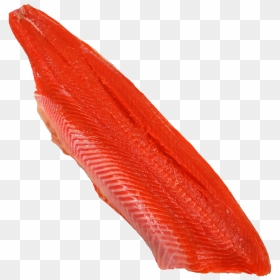 Salmon Fillet Png, Transparent Png - salmon png