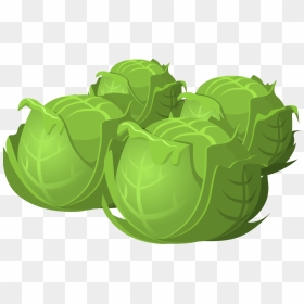 Beauty Benefits Of - Cabbage Png Cartoon, Transparent Png - leafy png