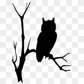 Owl Clip Art, HD Png Download - spooky forest.png