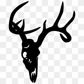 White-tailed Deer Elk Skull Clip Art - White-tailed Deer, HD Png Download - deer head silhouette png
