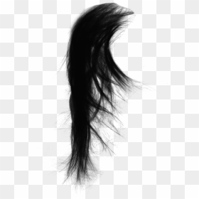 Drawing Capelli Black Hair - Black Hair Png, Transparent Png - long hair png