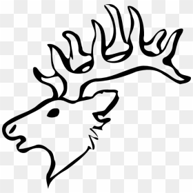 Deer Head Outline Clip Art At Clker - White Tailed Deer Drawing Easy, HD Png Download - deer head silhouette png
