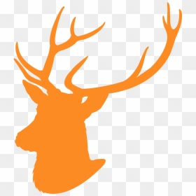Blue Buck Head Clipart, HD Png Download - deer head silhouette png