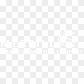 Merrill Lynch Wealth Management, HD Png Download - bank of america logo png