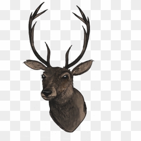 Reindeer Head Png - Deer Head Png, Transparent Png - deer head silhouette png