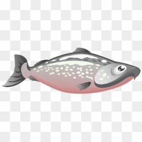 Pink,jaw,fish - Salmon Clipart Png, Transparent Png - salmon png