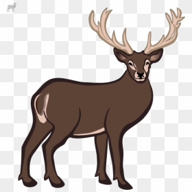 Deer Png Icons - Deer, Transparent Png - deer head silhouette png