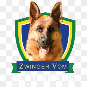 Zwinger Vom Bestinhaus - Keep Calm And Marry Harry, HD Png Download - german shepherd png