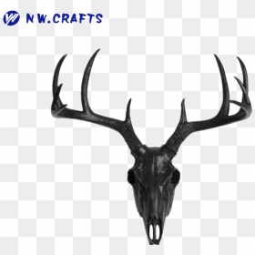 Black Deer Head Wall Decor Mount Suitable As Gifts - Deer Skull, HD Png Download - deer head silhouette png