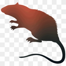 Rat Vector Png - Rat Silhouette, Transparent Png - photography vector png