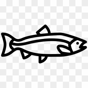 Big Salmon - Salmon Clipart, HD Png Download - salmon png