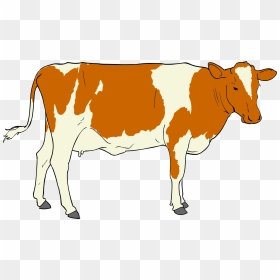 Free Clip Art Cow, HD Png Download - indian cow png