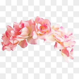 Hd Picsart Image Collections - Pink Flower Crown Png, Transparent Png - flower wreath png