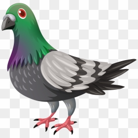Background Transparentpng, Png Download - white pigeon png