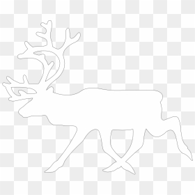 Transparent Deer Head Silhouette Png - White Reindeer No Background, Png Download - deer head silhouette png