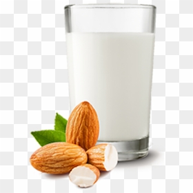 Almond , Png Download - Transparent Almond Milk Png, Png Download - badam png