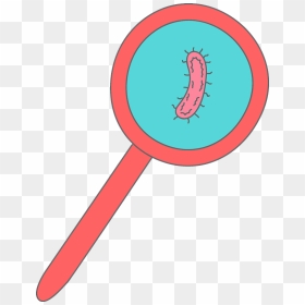 Bacteria In A Magnifying Glass Clipart, HD Png Download - bacteria png