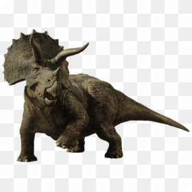 Triceratops By Camo-flauge Jurassic Park Toys, Jurassic - Jurassic World Dinosaurs Triceratops, HD Png Download - triceratops png