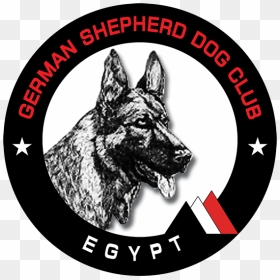 German Shepherd Dog Club Logo , Png Download - German Shepherd Dog Club Logo, Transparent Png - german shepherd png