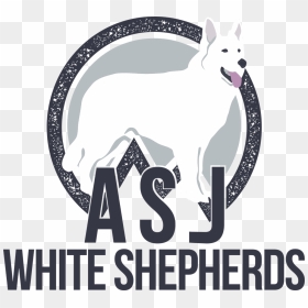 Asj White Shepherds In Middletown Ct - Asj White Shepherds, HD Png Download - german shepherd png