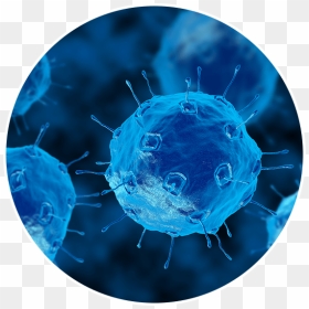 Transparent Infection Png - Real Bacteria In Circle, Png Download - bacteria png