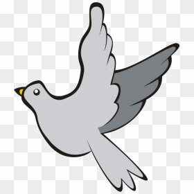 Bird Columbidae Duck Line Art Download - นก Png, Transparent Png - white pigeon png