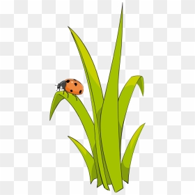 Grass To Use Hd Photo Clipart - Clip Art Grass Cartoon, HD Png Download - grass png hd
