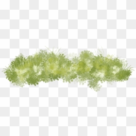 Seaweed Clipart Grass Land - Grass Painting Png, Transparent Png - grass png hd