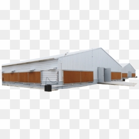 Light Steel Poultry Shed - Poultry Farm Shed Png, Transparent Png - broiler chicken png